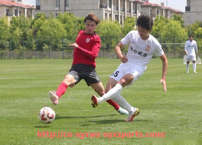 爱游戏体育-黔城竞技风云燃起篮球精神 点亮绿茵足球激情奋勇向前