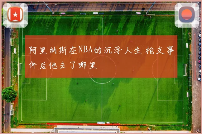 阿里纳斯在NBA的沉浮人生 枪支事件后他去了哪里
