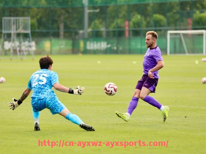 爱游戏体育-法甲防守效率图表：各队场均失球与解围成功率